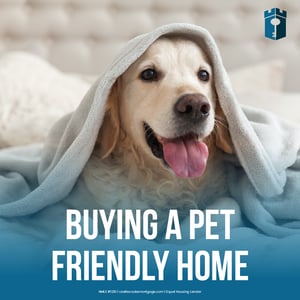 Buying pet friendly home Buying pet friendly home