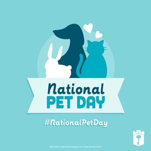 Pet day_social Pet day_social