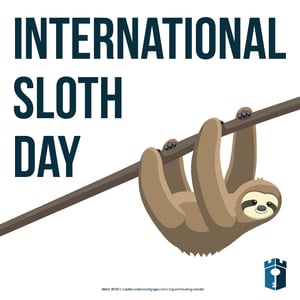 Sloth day (1)