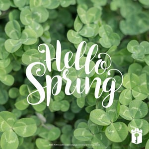 Spring Equinox Spring Equinox