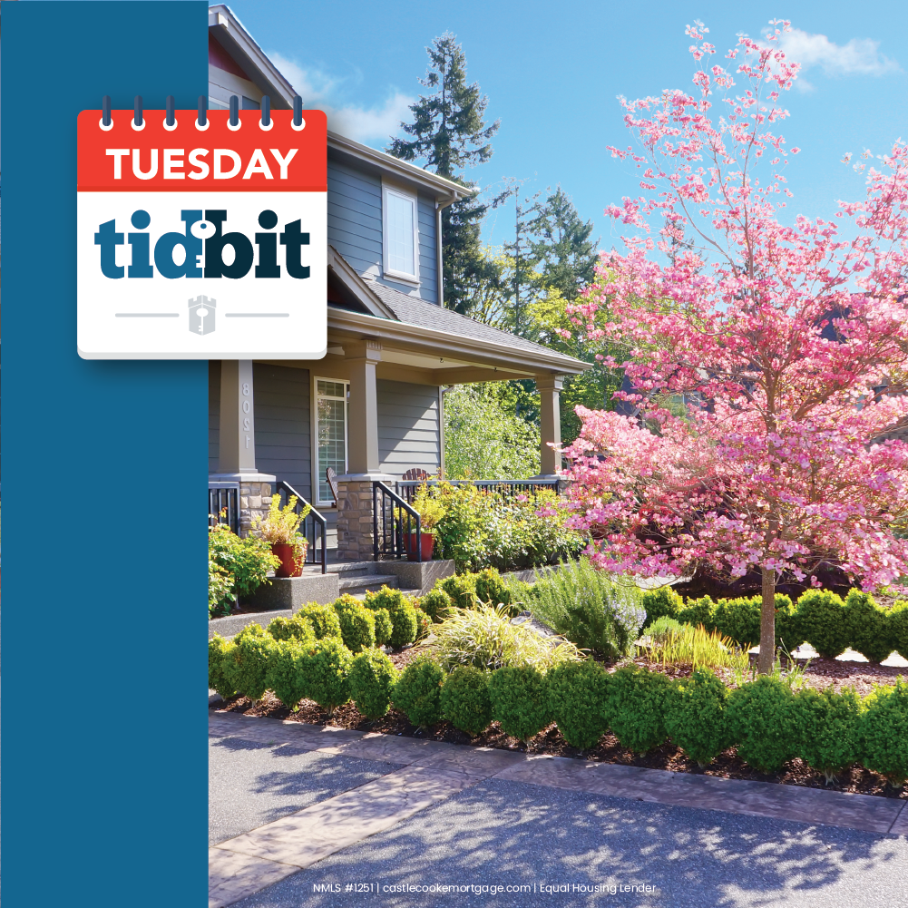 _TT_curb appeal _TT_curb appeal