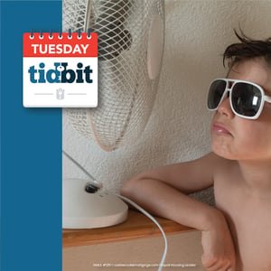 _TT_keep home cool _TT_keep home cool