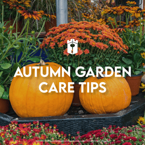 autumn garden care tips autumn garden care tips