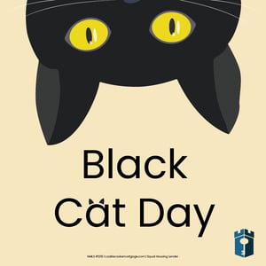 black cat day-01 black cat day-01