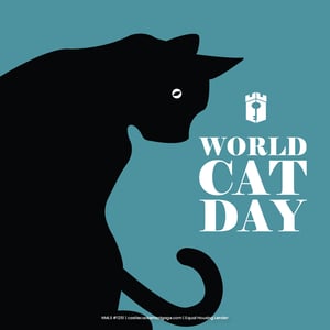 cat day