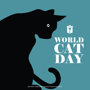 cat day cat day