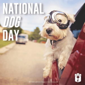 dog day_social dog day_social