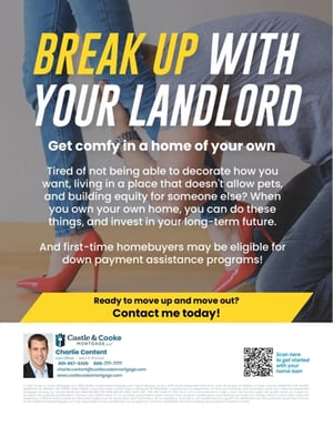 landlord flyer gt landlord flyer gt