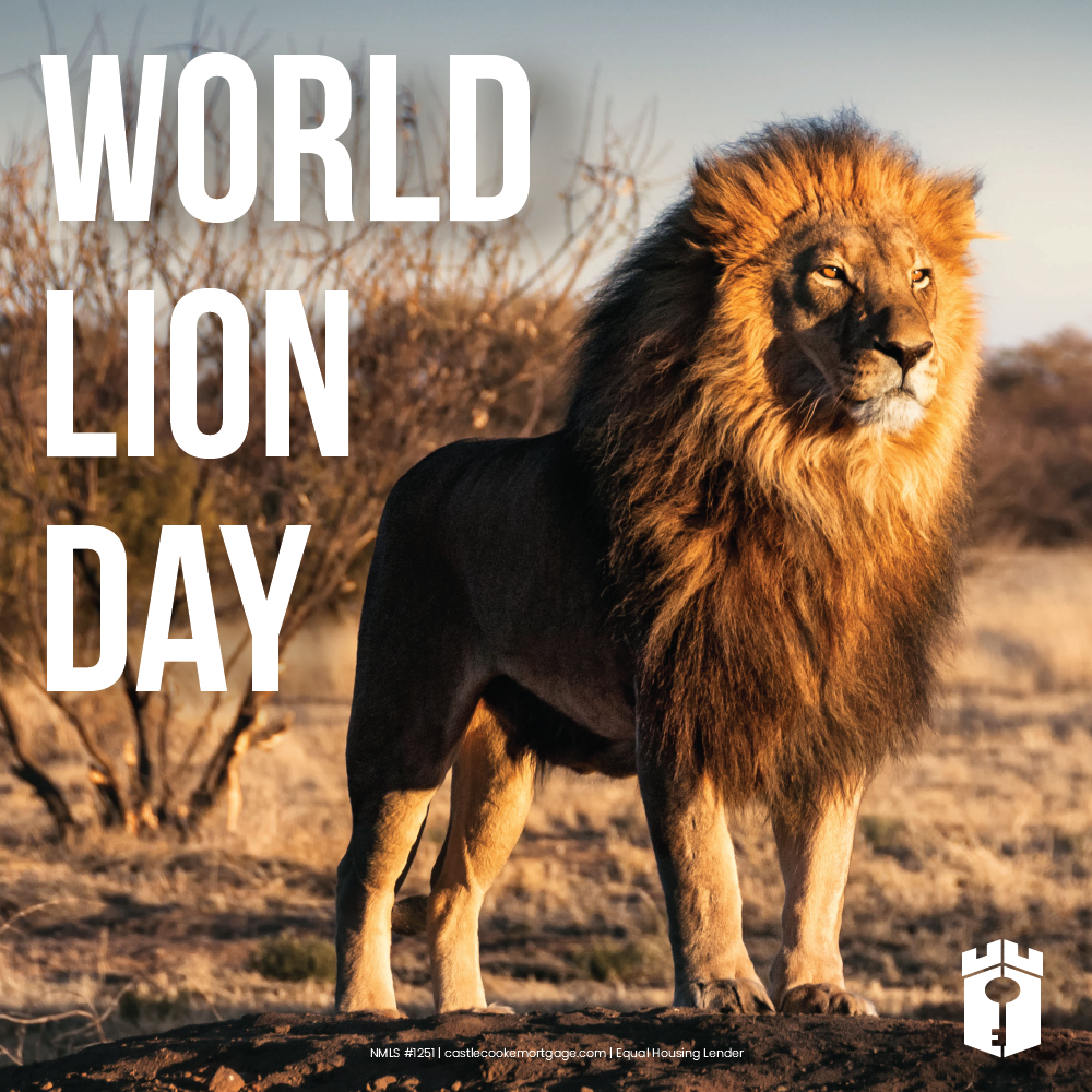 lion day_social lion day_social