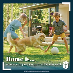 pet in your yard pet in your yard