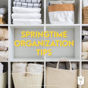 springtime organization