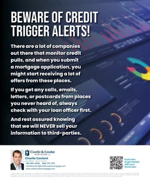 trigger flyer