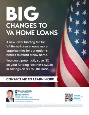 va flyer sample va flyer sample