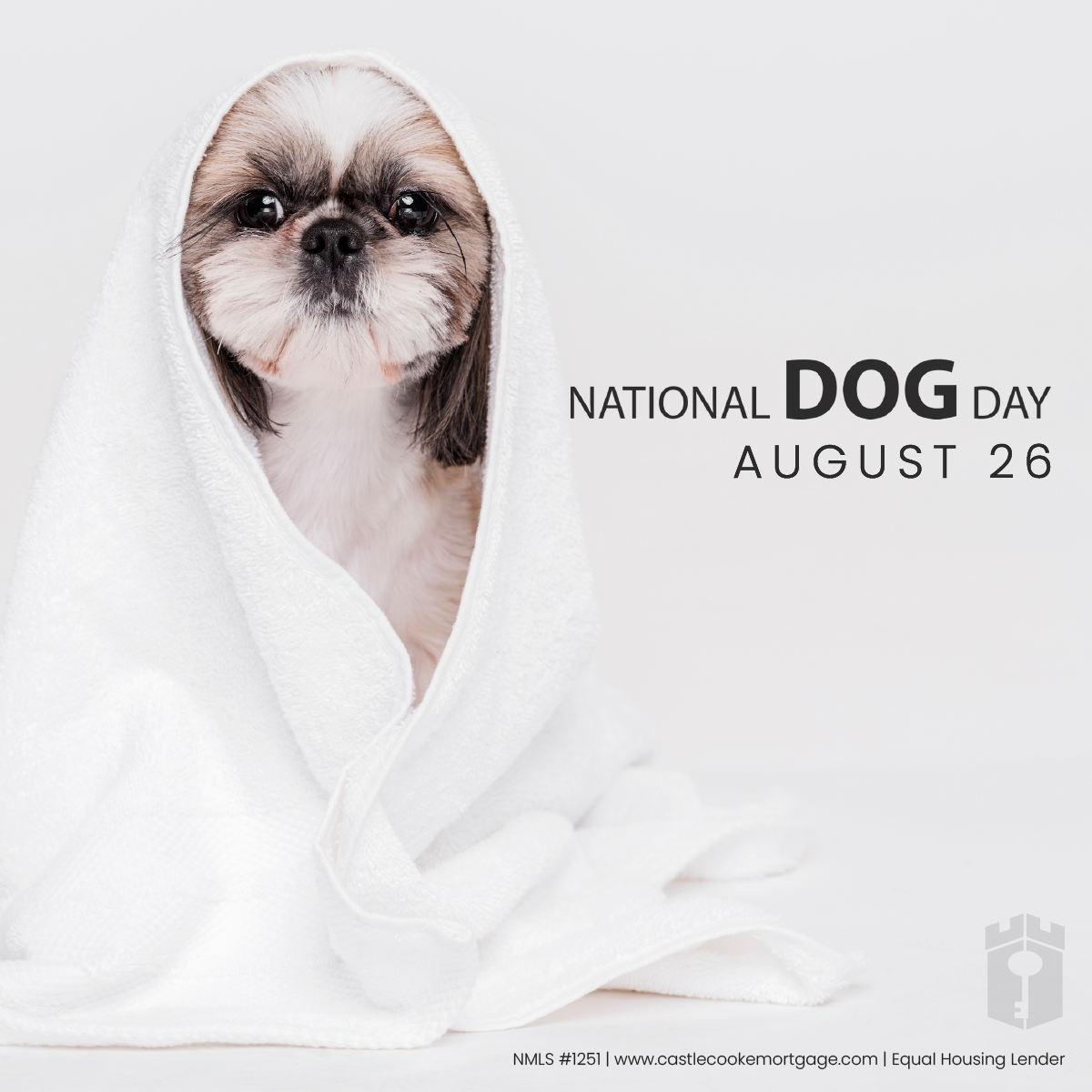 National Dog Day, Aug. 26-01-01