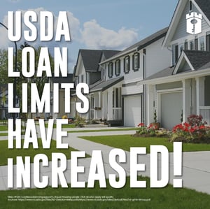 USDA income limit (4)