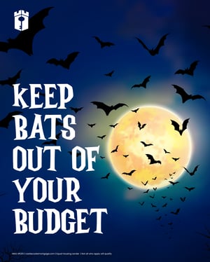 bats in budget bats in budget