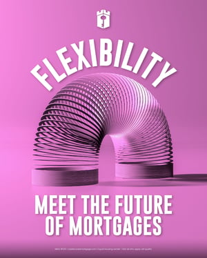 flexibility meet the future flexibility meet the future