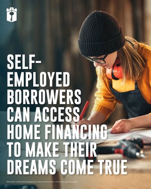 self employed borrowers self employed borrowers