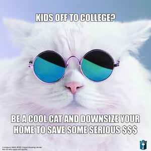 cool cat meme