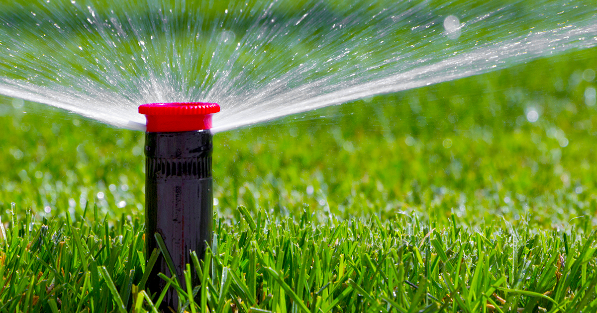 Repaired sprinkler head sprays green lawn