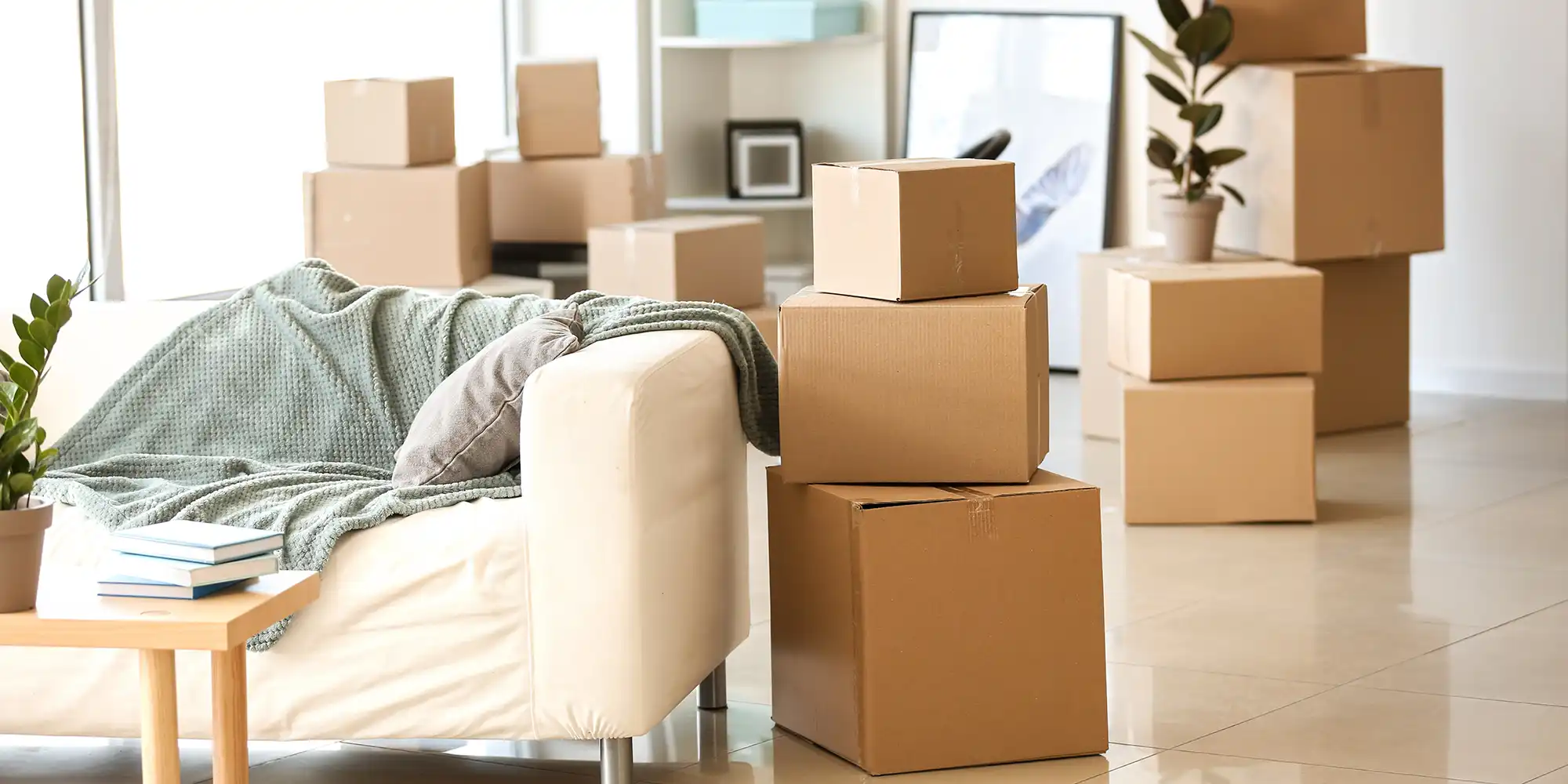 light colored livingroom couch and flooring surrounded by moving boxes and potted plants