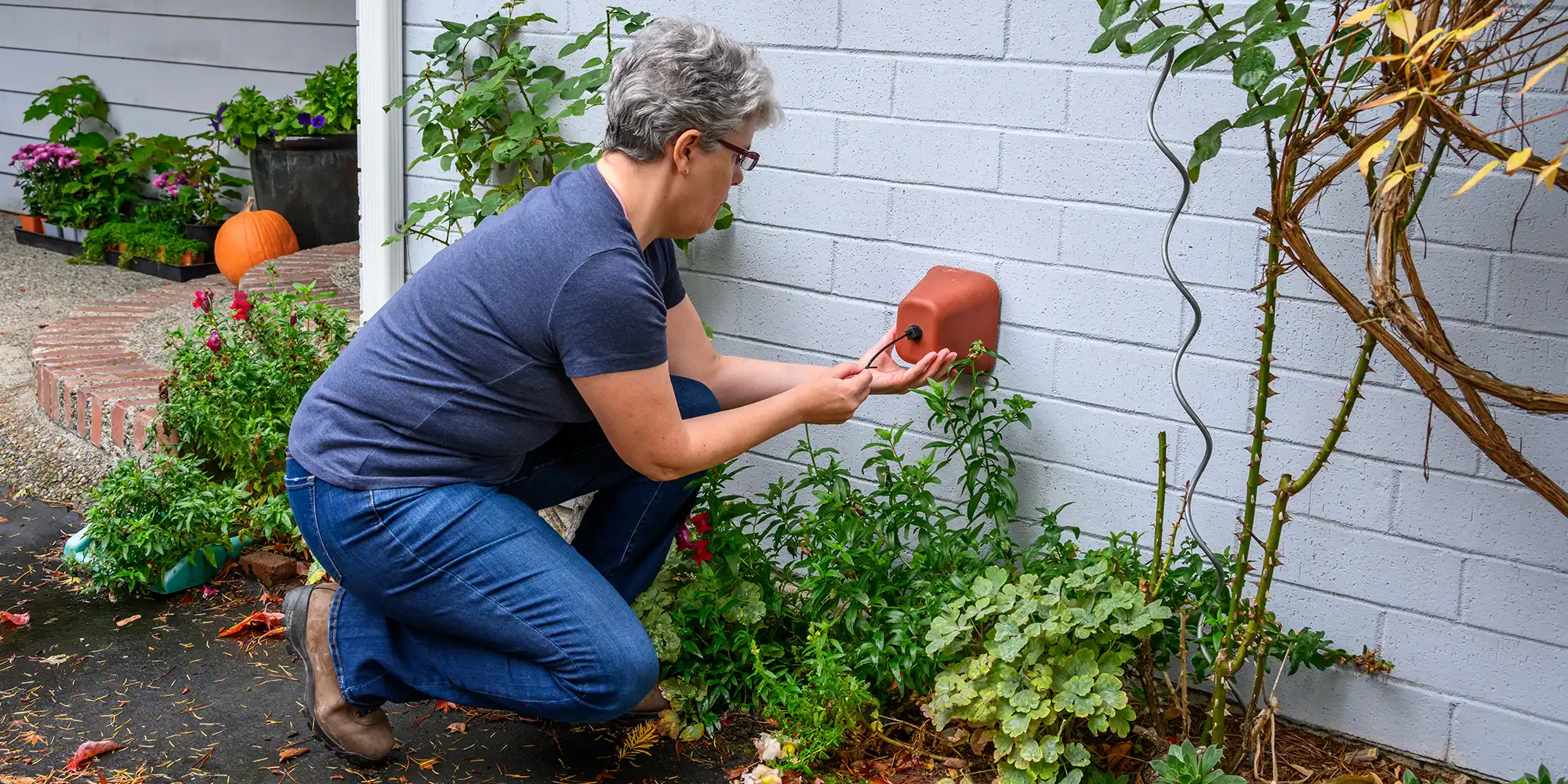 retired woman crouching down in yard during autumn to winterize outside faucet