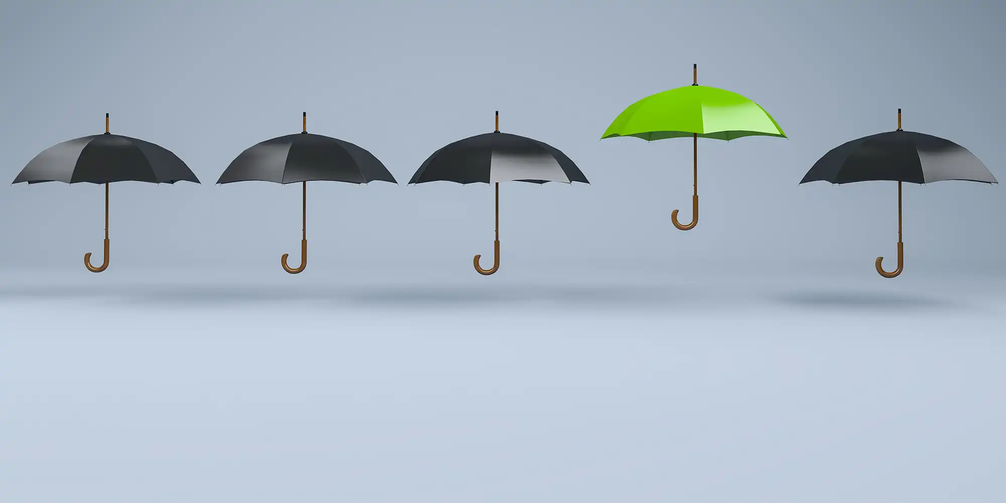 row of umbrellas in front of grey background. All umbrellas are black except one green one