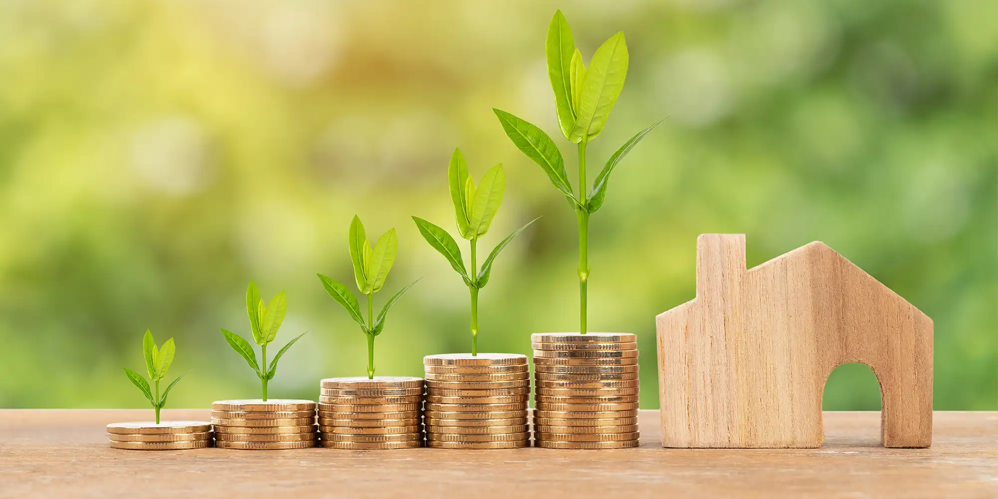 small wooden house next to stacks of coins with plants sprouting out of them