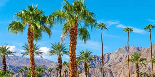 La Quinta