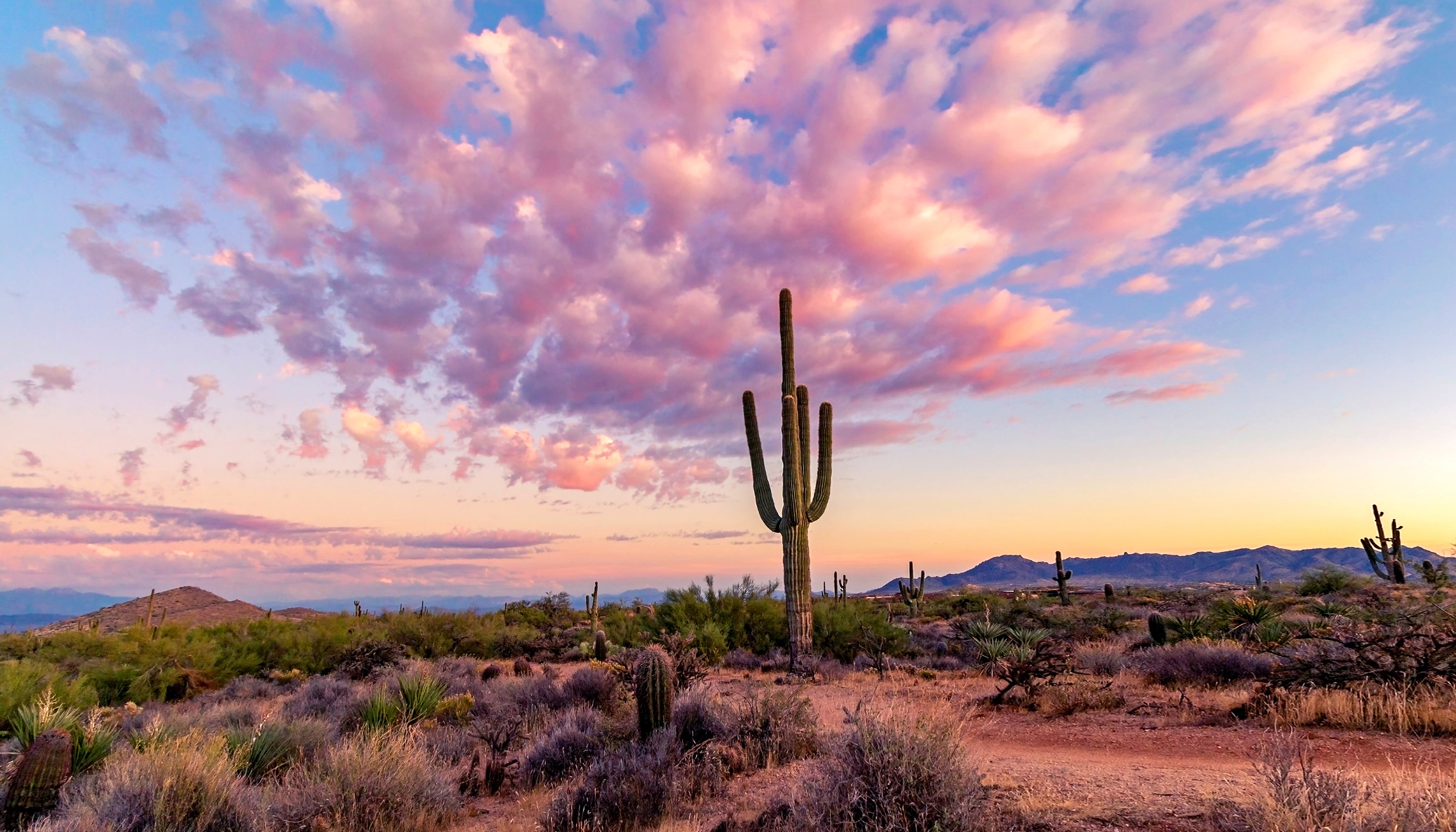 Home loans and refinance in Arizona | Castle & Cooke Mortgage